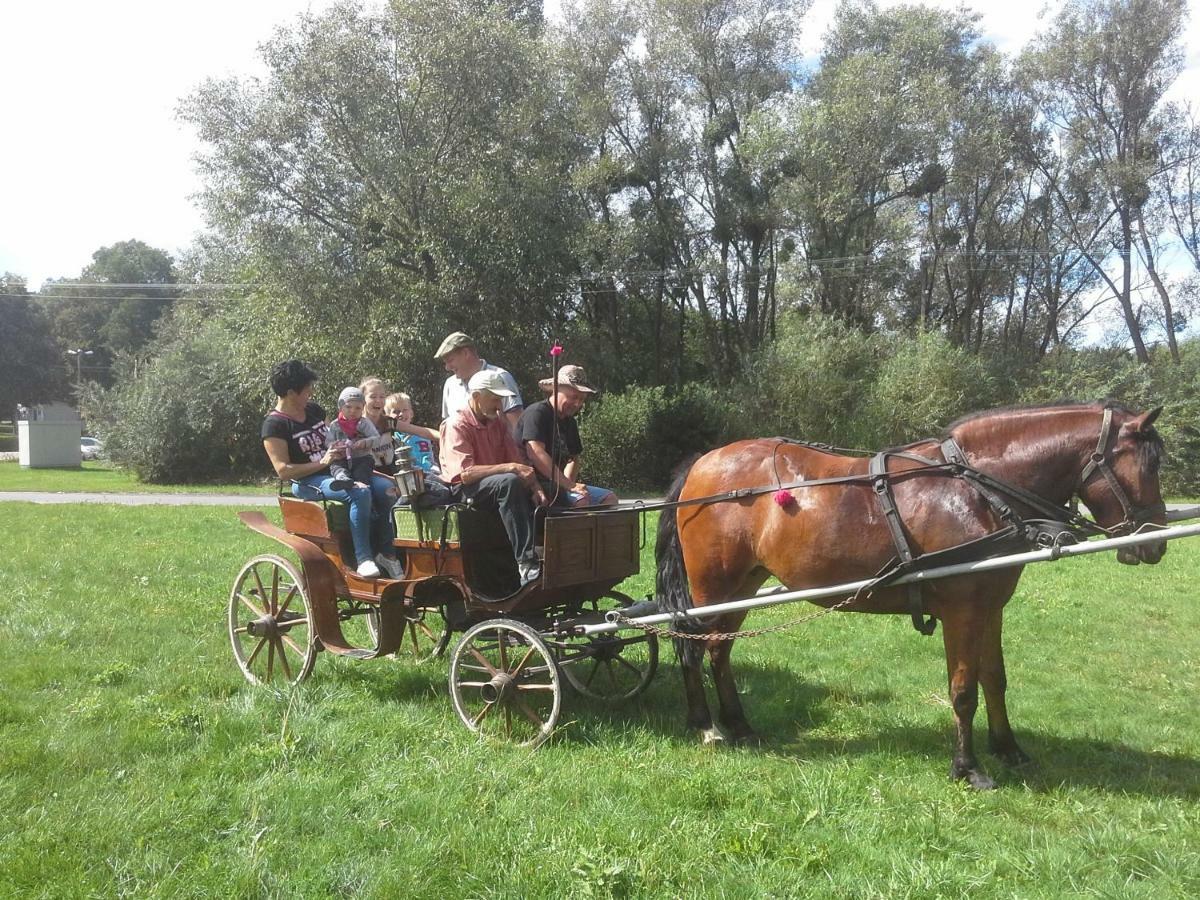Agroturystyka U Krystyny Rybczewice Экстерьер фото